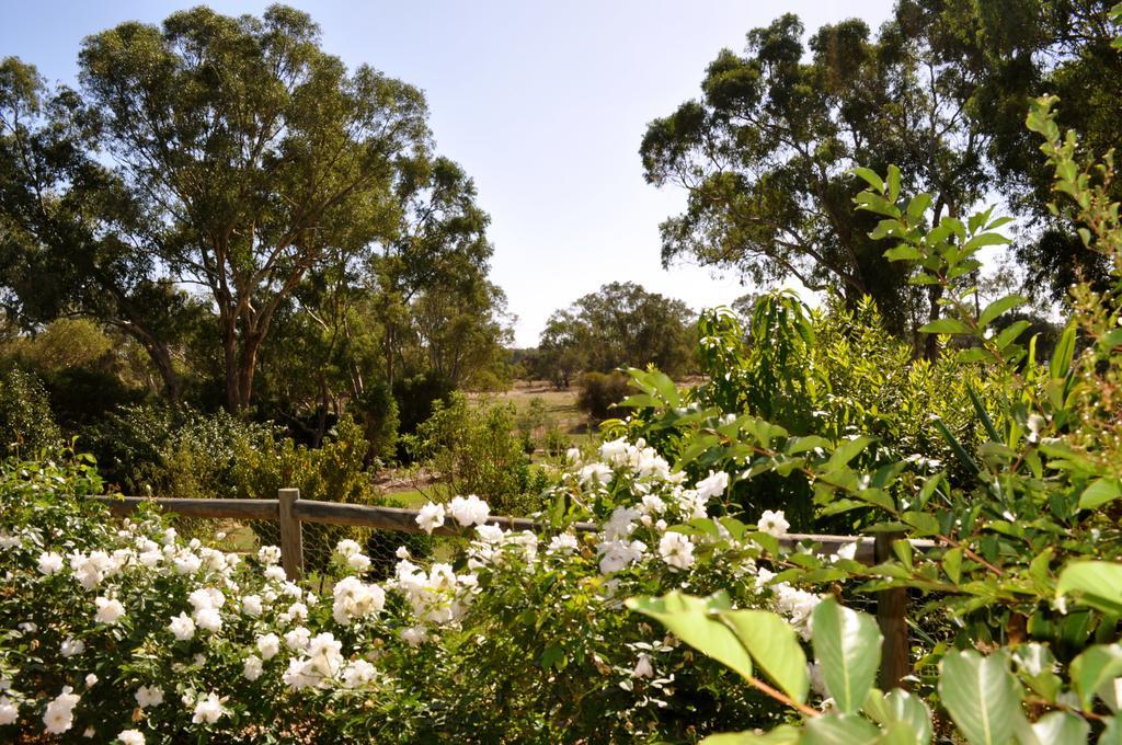 Guildford River Retreat Perth Dış mekan fotoğraf